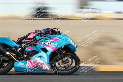 media/Jan-13-2024-SoCal Trackdays (Sat) [[9c032fe5aa]]/Turn 16 Set 2 (1120am)/